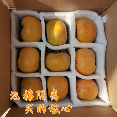 正宗太秋脆柿水果太秋甜柿大秋脆柿太秋柿子新鲜水果中秋礼盒