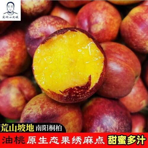黄肉油桃露天现摘麻点红油桃应季水果当季桃子非黄金蜜桃孕妇水果