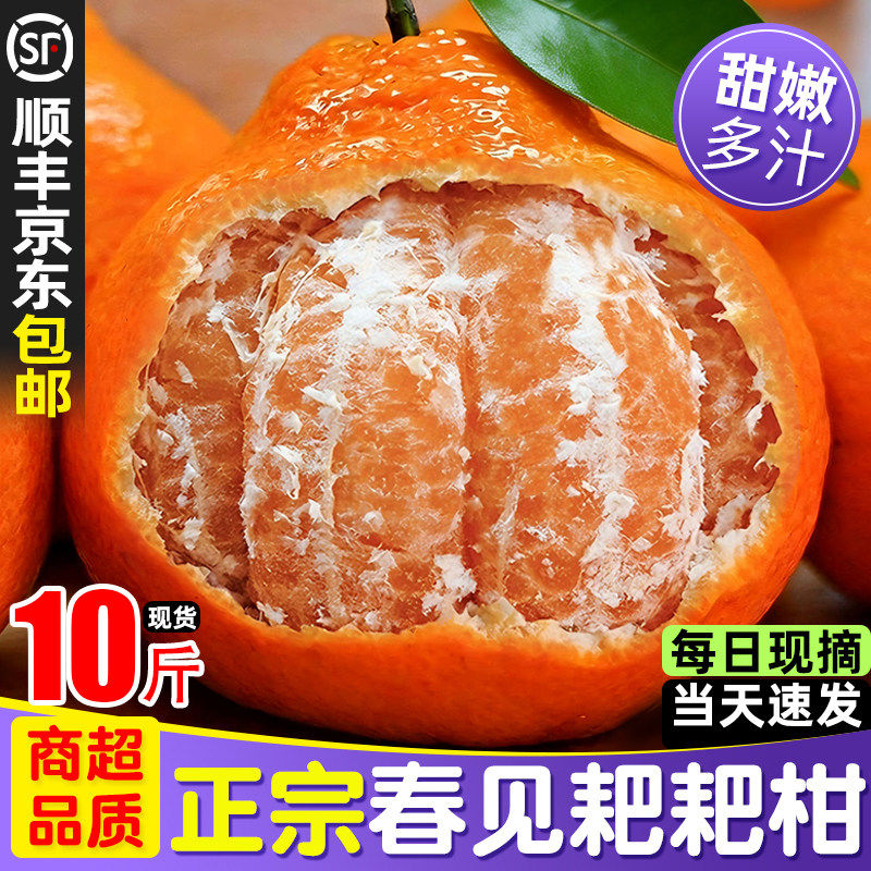 顺丰包邮四川春见耙耙柑10斤整箱新鲜现摘发货水果丑桔子粑粑柑橘