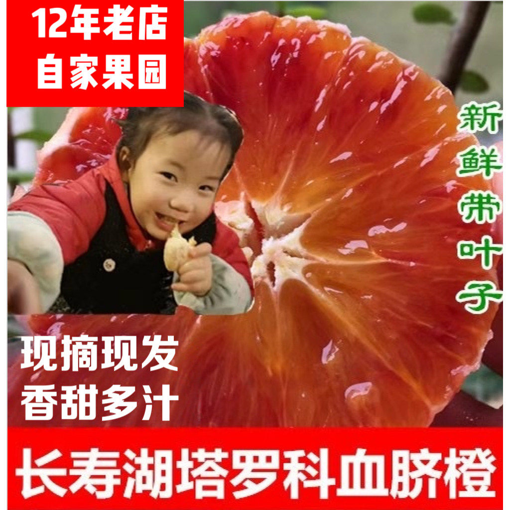 重庆长寿湖塔罗科血脐橙现摘果园直发孕妇新鲜水果红心汁多包邮