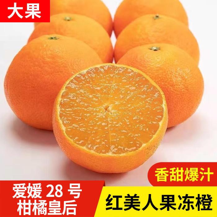 红美人柑橘皇后爱媛28号果冻橙正宗橙子福建漳州平和橘子38缓新鲜