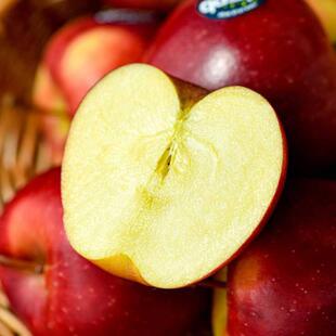 新西兰Dazzle丹烁苹果皇后进口苹果原装进口红玫瑰新鲜水果包邮