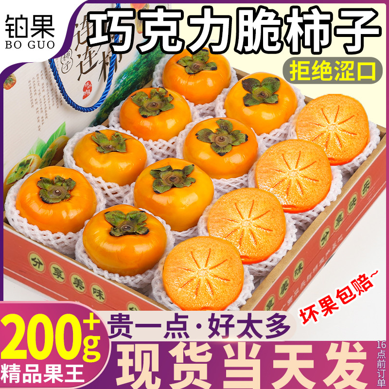 精品礼盒特大果10斤巧克力脆柿子新鲜水果冰糖心硬柿当季整箱包邮