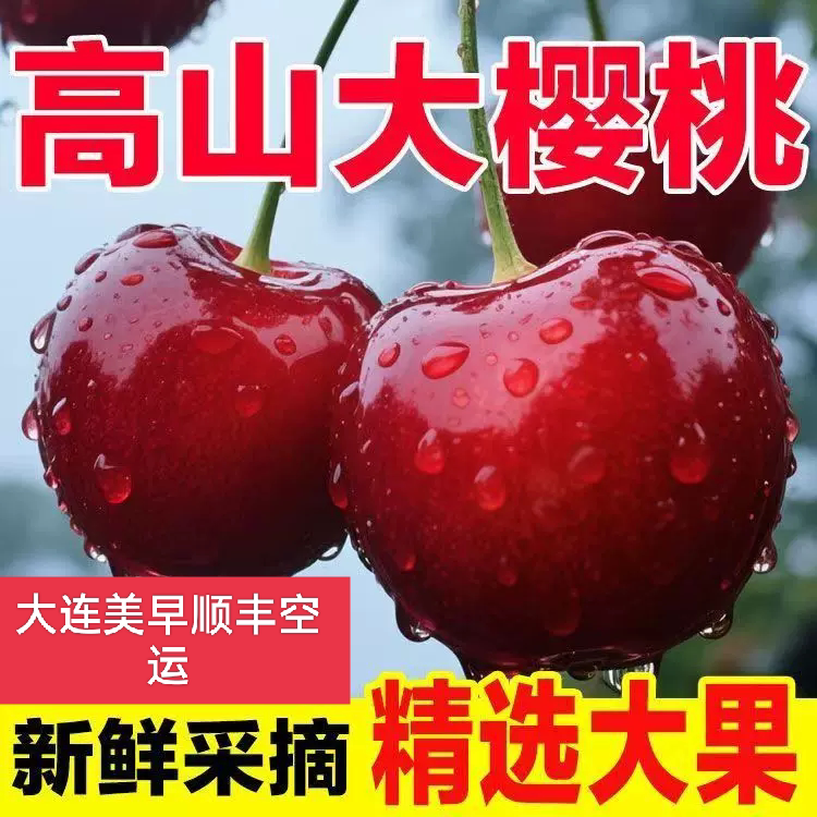 大连美早大樱桃水果新鲜