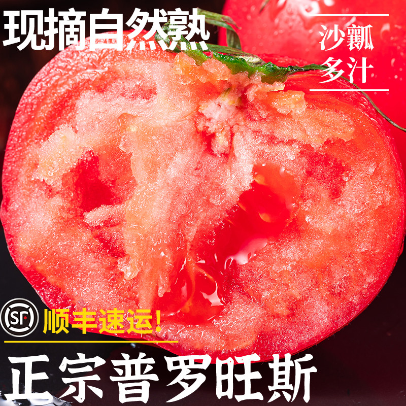 正宗陕西普罗旺斯顺丰水果当季沙瓤西红柿自然熟新鲜生吃番茄蔬菜