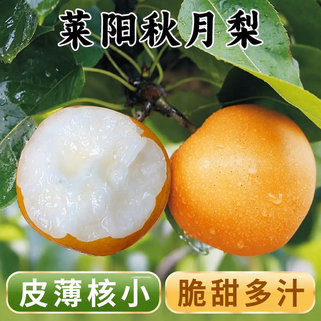 正宗山东莱阳秋月梨冰糖雪梨冰糖酥脆大果薄皮多汁脆甜整箱