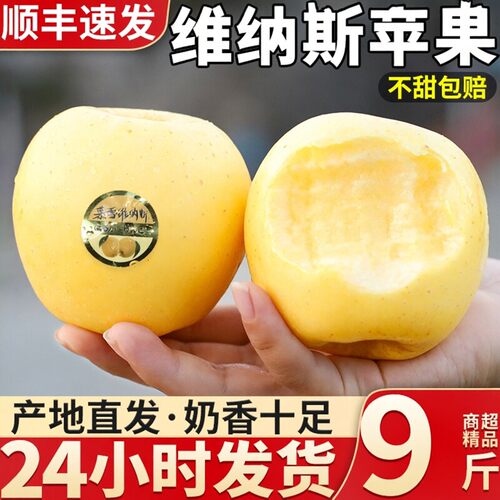 顺丰正宗维纳斯黄金苹果