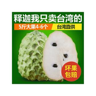 阳哥 新鲜进口水果台湾凤梨释迦果 番荔枝 佛头果5斤牛奶释迦大果