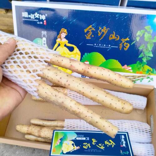 山东蹦跶女神金沙山药冰