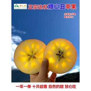 正宗康定达杠糖心野丑苹果高原藏区生态甜脆红富士新年礼非阿克苏