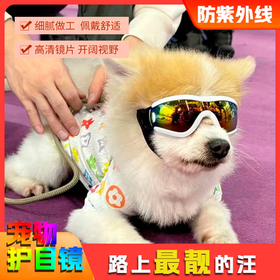 边牧护目镜狗眼镜狗狗防风镜比熊宠物小狗滑雪墨镜雪纳瑞饰品马犬