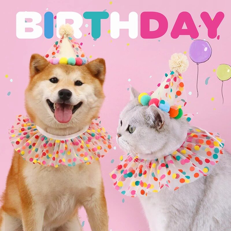 猫咪生日帽宠物头套狗围兜小狗帽子可爱生日装饰狗狗头饰拍照道具