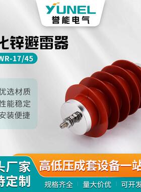 HY5WR-1745高压氧化锌避雷器电容器防雷器硅胶10-12KV高压避雷器
