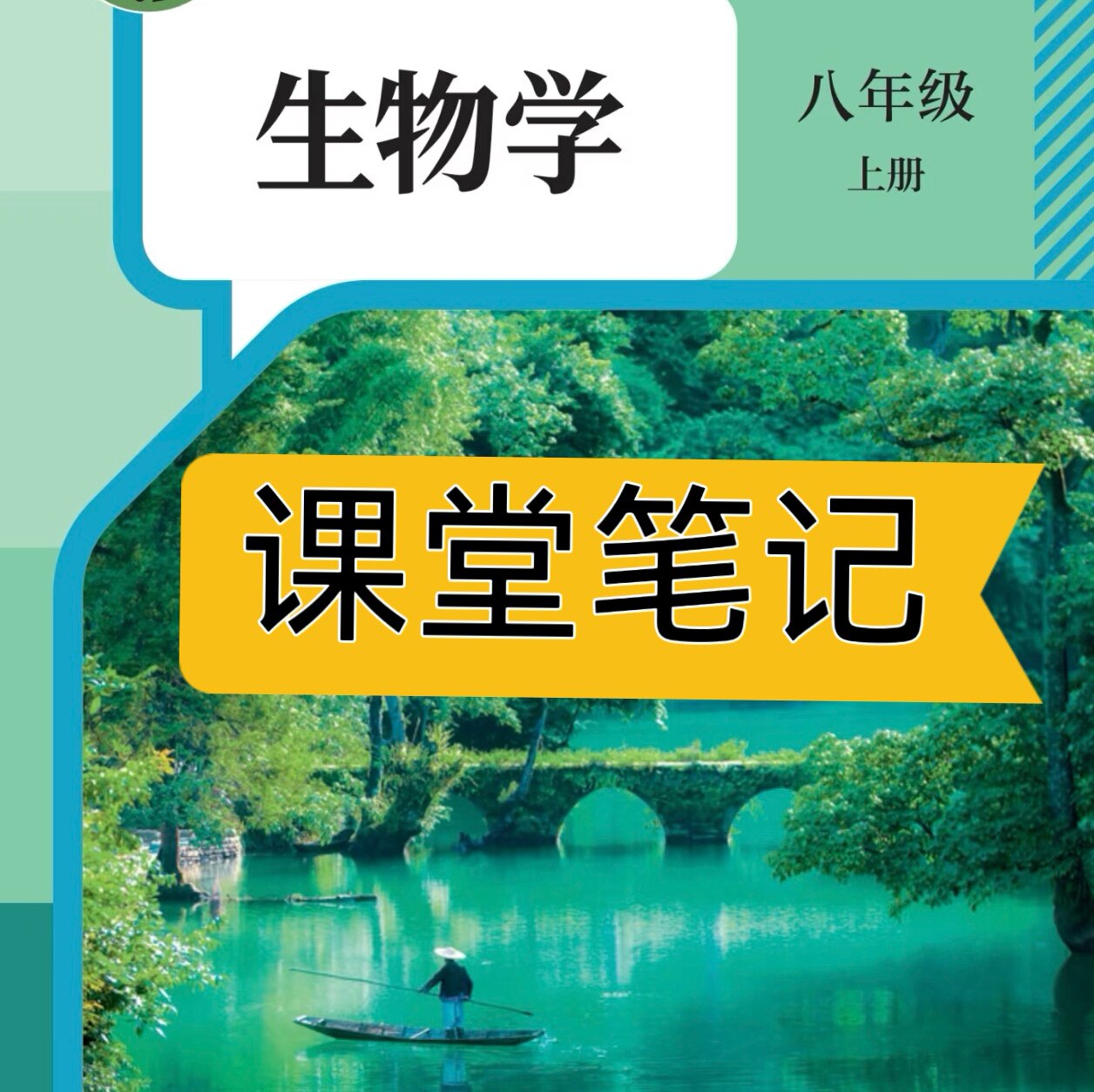 八上下生物人教版2026新版笔记