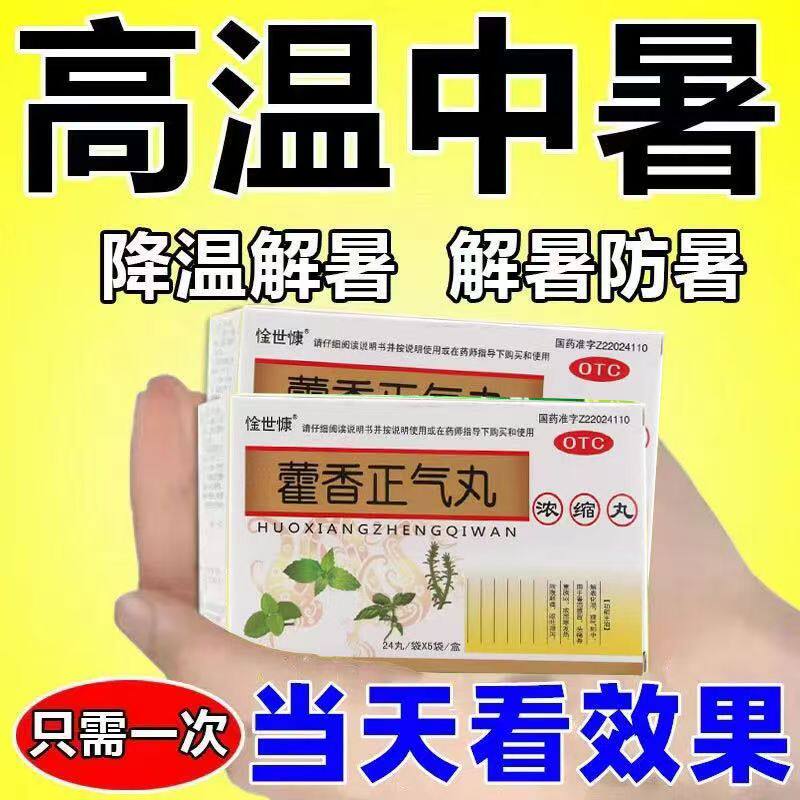 【惍世慷】藿香正气丸(浓缩丸)120丸/盒