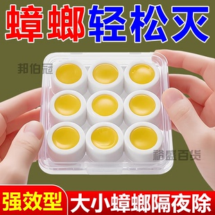 蟑螂药全窝端家用非无毒强效一名虫卵餐厅胶饵杀蟑螂强力除蟑 正品