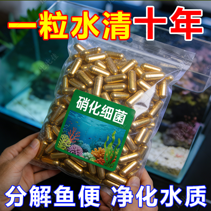 鱼乐宝除鱼缸净水剂清澈剂菌片分解剂水水质硝化细菌养鱼亚甲基,宠物/宠物食品及用品,鱼缸清洁用具,淘宝优惠券,粉丝福利购,淘宝优惠卷