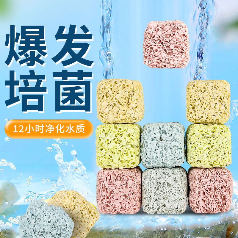 鱼缸过滤材料硝化细菌屋陶瓷环鱼池净化水质石英球过滤器专用