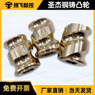 圣杰刀库铜凸轮加工中心BT30机械伺服分度盘台群16/21T钻攻机