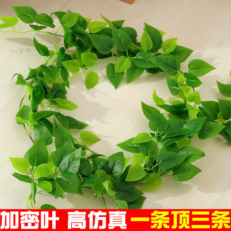 装饰用的假树叶子藤条绿腾条仿真空调管遮挡美观暖气绿色绿萝塑料