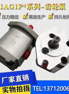 1AG1P09R/02R/03R/04R/0R5/06R/07R/08R/02R/35R系列液压齿轮