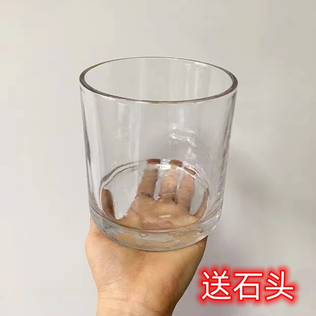 简约水培玻璃花盆圆形正方形透明郁金香种球摆件水养植物器皿