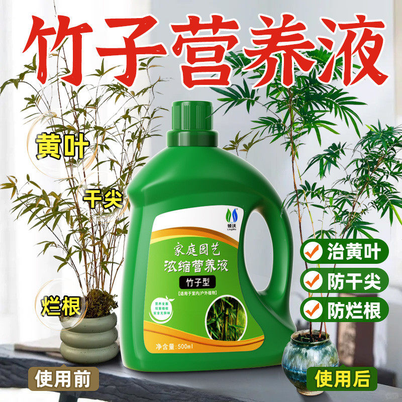 竹子专用营养液水培植物通用型室内盆栽绿植液体肥料预防叶子发黄