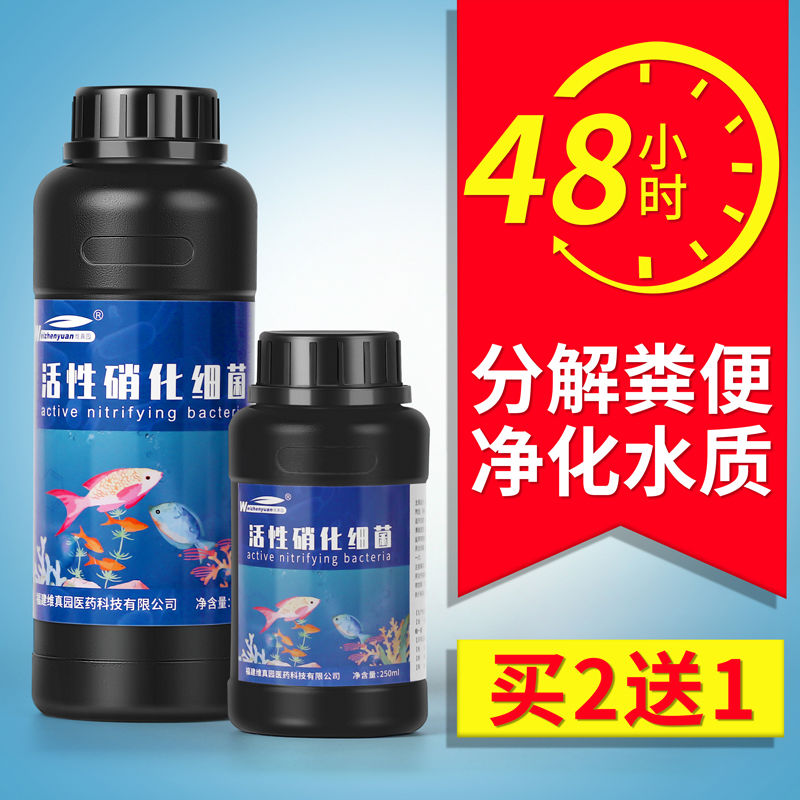 硝化细菌鱼缸用活菌净水剂稳定剂鱼用养鱼用水族水质活性消