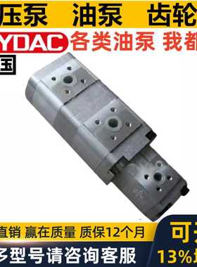 HYDAC双联泵P104-630/MX 2114 P104-740/740-RBQ1/1-V-4512