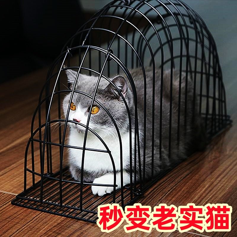 新款洗猫笼猫咪洗澡专用神器洗猫袋吹风防抓咬吹干固定烘干箱用品,宠物/宠物食品及用品,宠物智能烘干箱,淘宝优惠券,粉丝福利购,淘宝优惠卷