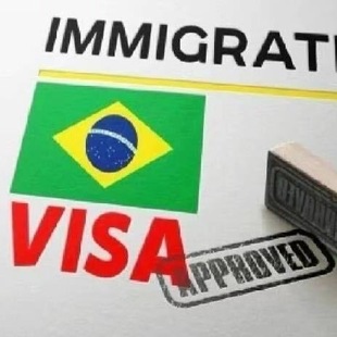 巴西表格代填 代上传资料