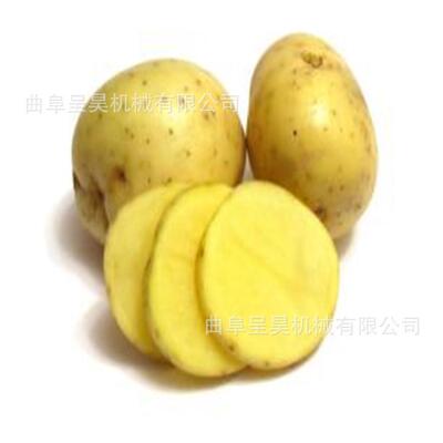 畅销款火锅店土豆切片机多功能商用合金切地瓜红薯白萝卜片机