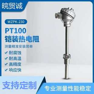 WZP2 400℃ 铂热电阻WZP 贸诚仪表 L=500MM 121 131 pt100