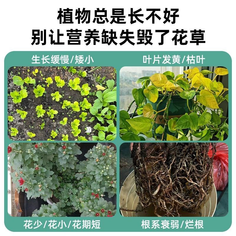 缓释棒营养棒花肥料缓释肥通用型绿叶强效户外植物盆栽室内花卉肥