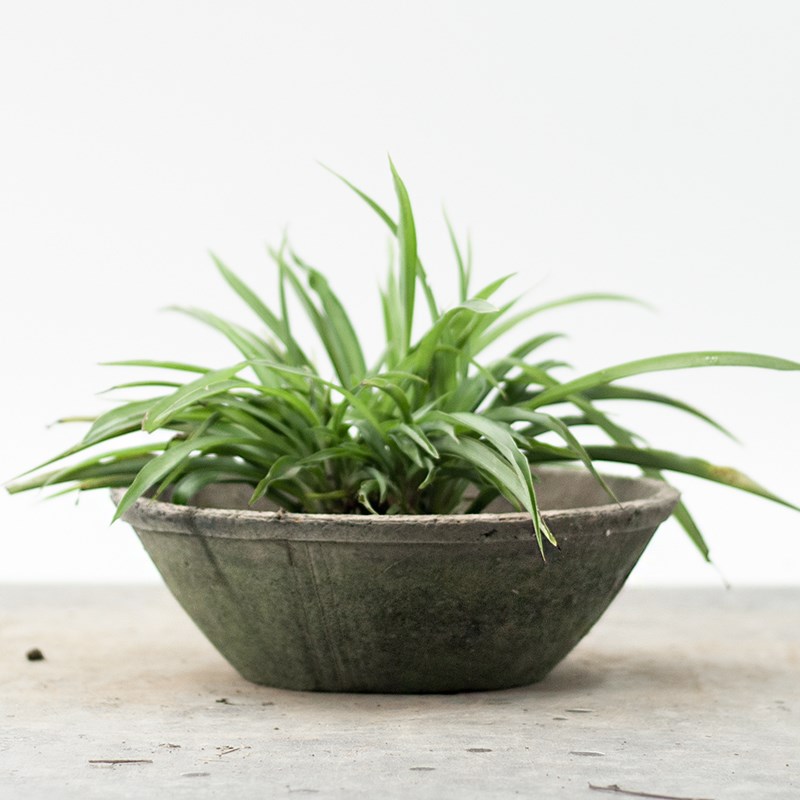 碗盆粗陶瓦盆复古多肉植物花盆创意盆泥土盆素烧创意土陶大花盆