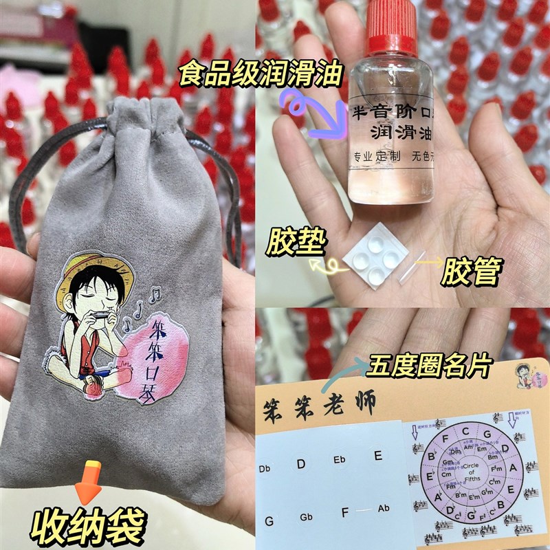 笨笨口琴推荐2024年新款十孔半音阶蜂鸟儿童成人初学进阶演奏高端