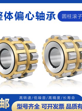 减速机整体偏心轴承100752305 130752305 150752305 200752305