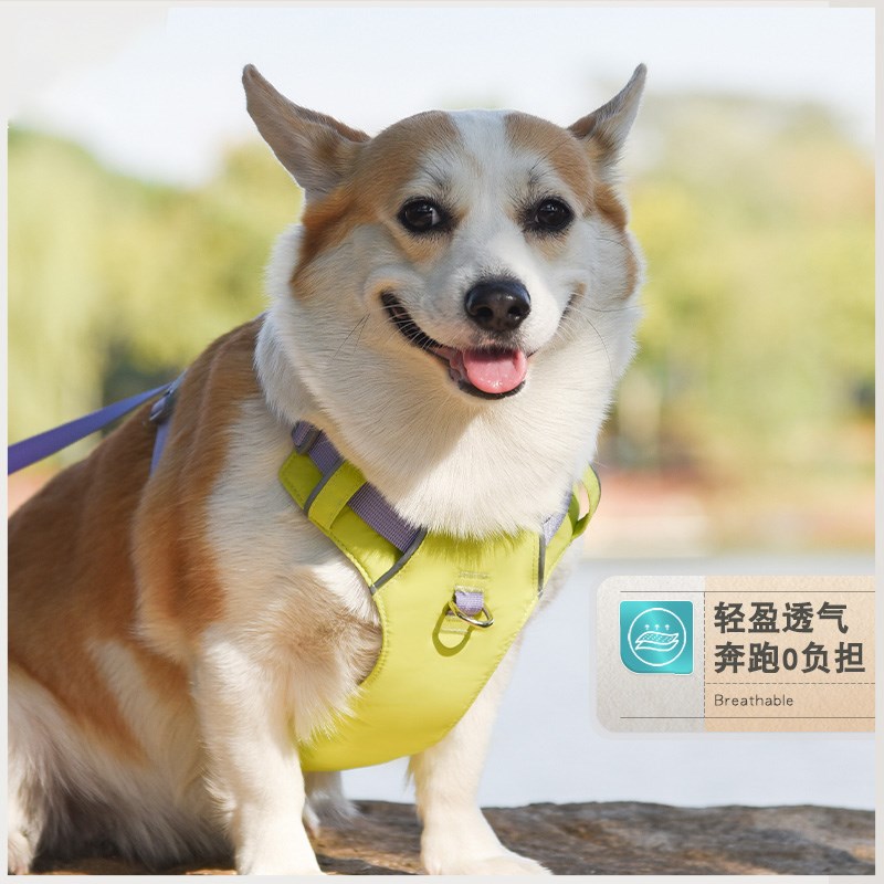 狗狗牵引绳背心式狗链胸背带小中大型犬金毛柯基泰迪外出专用绳子