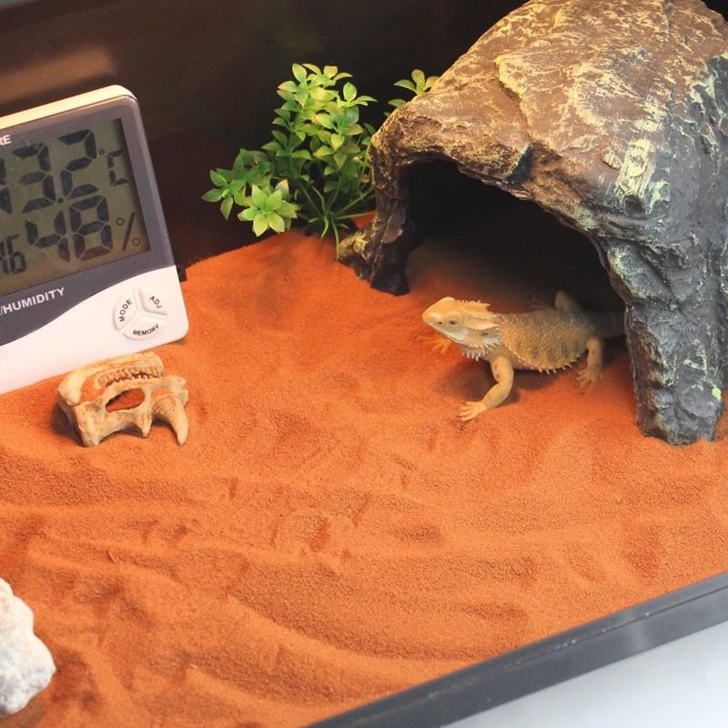 爬宠钙沙陆龟蜥蜴鬃狮守宫宠物爬沙爬虫饲养用品垫材沙漠造景装饰,宠物/宠物食品及用品,造景/装饰,淘宝优惠券,粉丝福利购,淘宝优惠卷