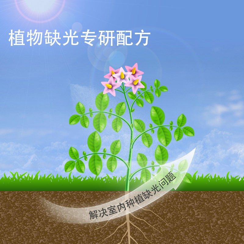 青丛园丁植物补光片,专门解决室内养花光照不足绿植盆栽叶绿素,鲜花速递/花卉仿真/绿植园艺,家庭园艺肥料,淘宝优惠券,粉丝福利购,淘宝优惠卷