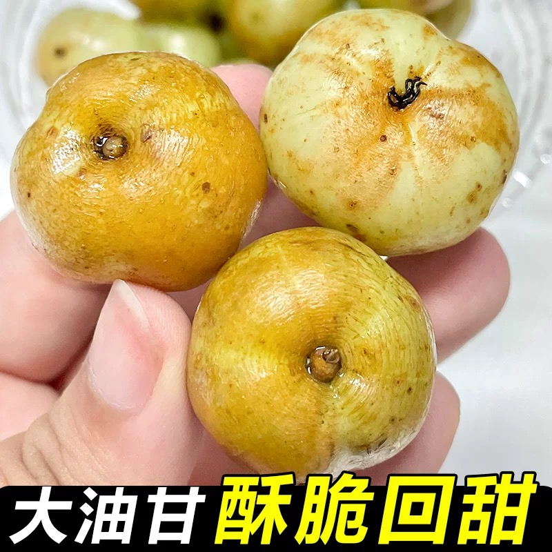 潮汕普宁崩坎甜油甘新鲜油甘果牛