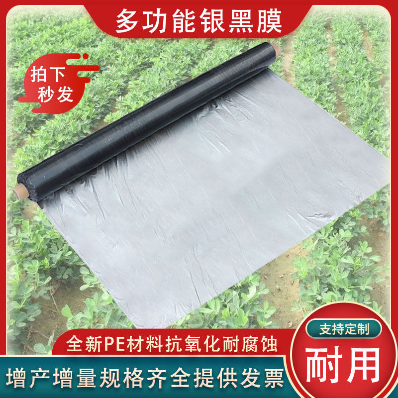 农用银黑灰地膜反光除草防虫保湿薄膜果园树蔬菜用草莓双色两用膜