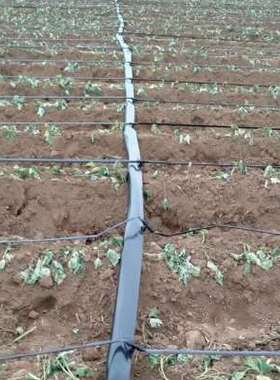 新品N16迷宫带农用滴灌带大棚蔬菜膜下滴管果园绿化滴水管节水品