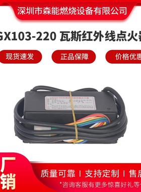 GX103-220红外线炉头点火器 现货优惠