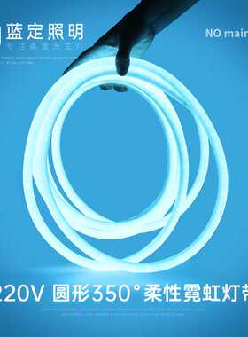 220V圆形柔性霓虹灯工程亮化氛围线条灯带360度发光圆柱线性灯条