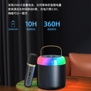 BLINBLIN蓝牙音箱Y2唱歌音箱K歌音箱小体积大声场双喇叭KTV级别音