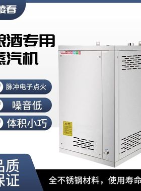 蒸汽产生器商用节能蒸气机酿酒豆腐锅炉煮豆浆蒸馒头燃气蒸气锅炉