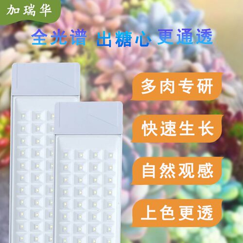 多肉补光灯管上色全光谱仿日光防徒长配线室内生长灯