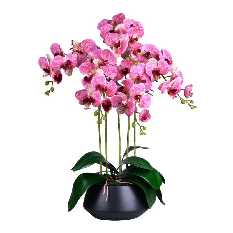 蝴蝶兰仿真花艺客厅摆设餐桌面摆件室内假花卉装饰盆栽塑料电视柜