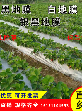 农用黑色除草膜银黑地膜白色保温地膜加厚薄膜果树果园草莓塑料膜